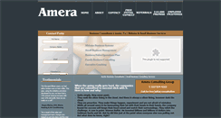 Desktop Screenshot of businessconsultantaustin.com